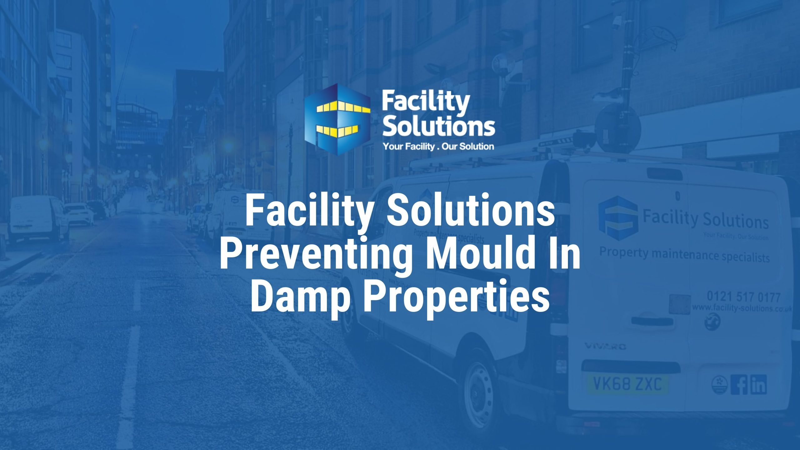 preventing mould in damp properties